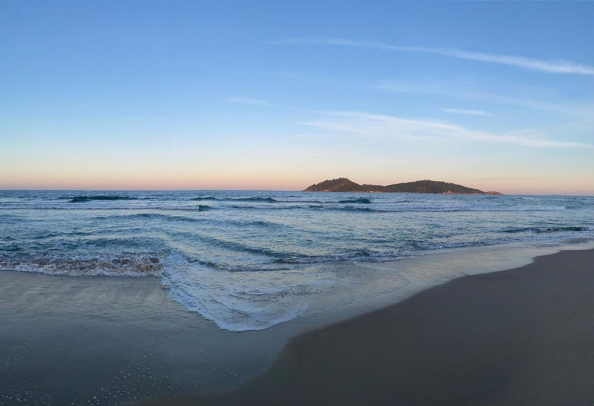 Tulipane - Do Campeche Florianopolis